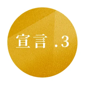 宣言3